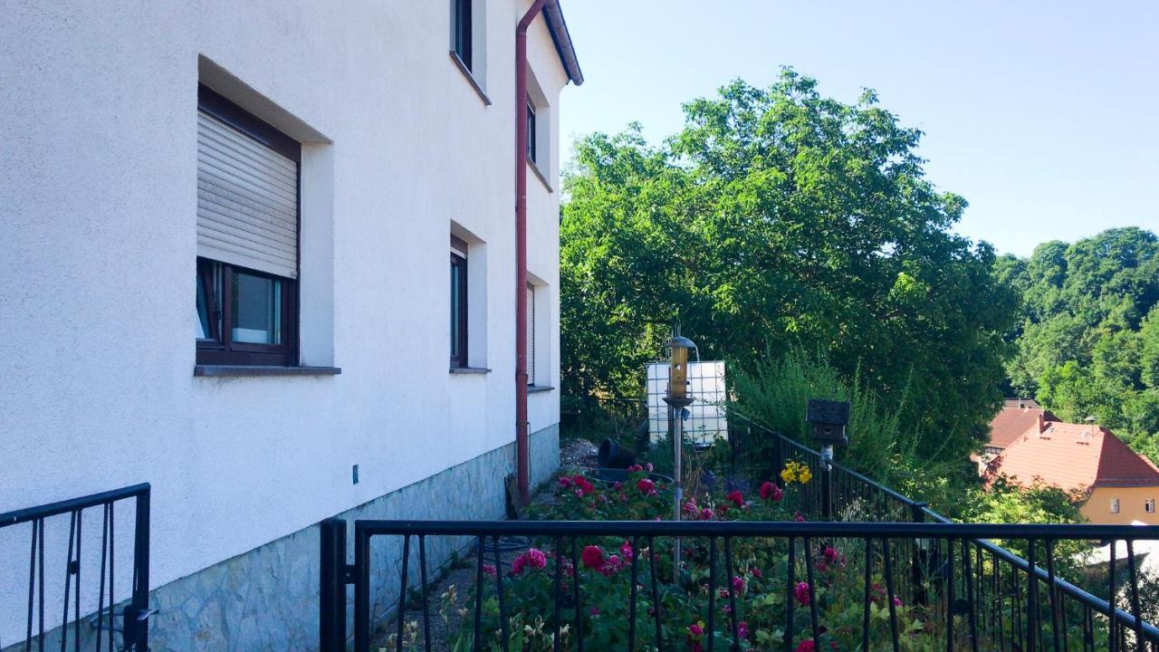 Unterwellenborn Schlossberg Apartments & Garten In Der Natur & Unweit Vom "Thueringer Meer" מראה חיצוני תמונה