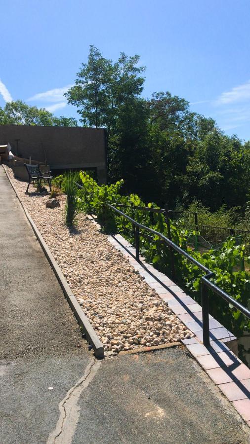 Unterwellenborn Schlossberg Apartments & Garten In Der Natur & Unweit Vom "Thueringer Meer" מראה חיצוני תמונה